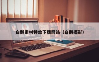 秦皇岛白鹅素材特效下载网站（白鹅摄影）
